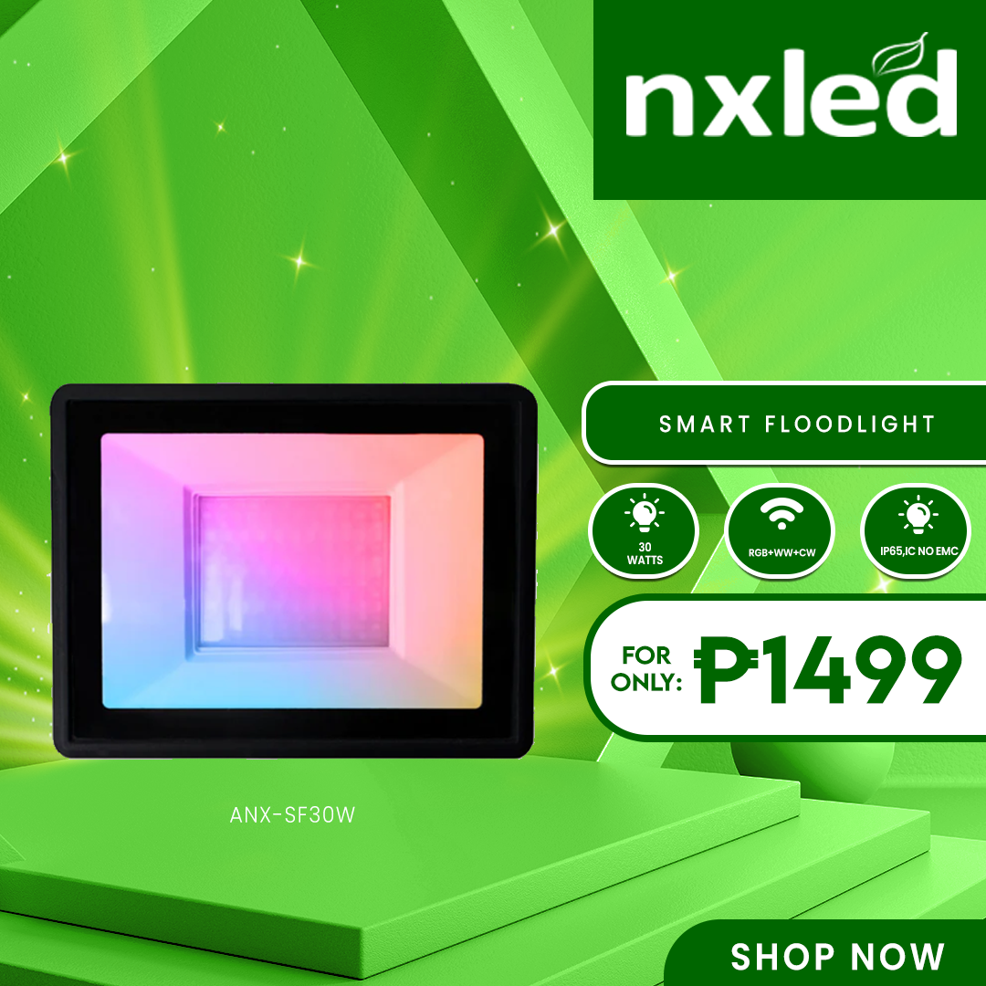 NxLed Smart Floodlight 30W (ANX-SFL30W)