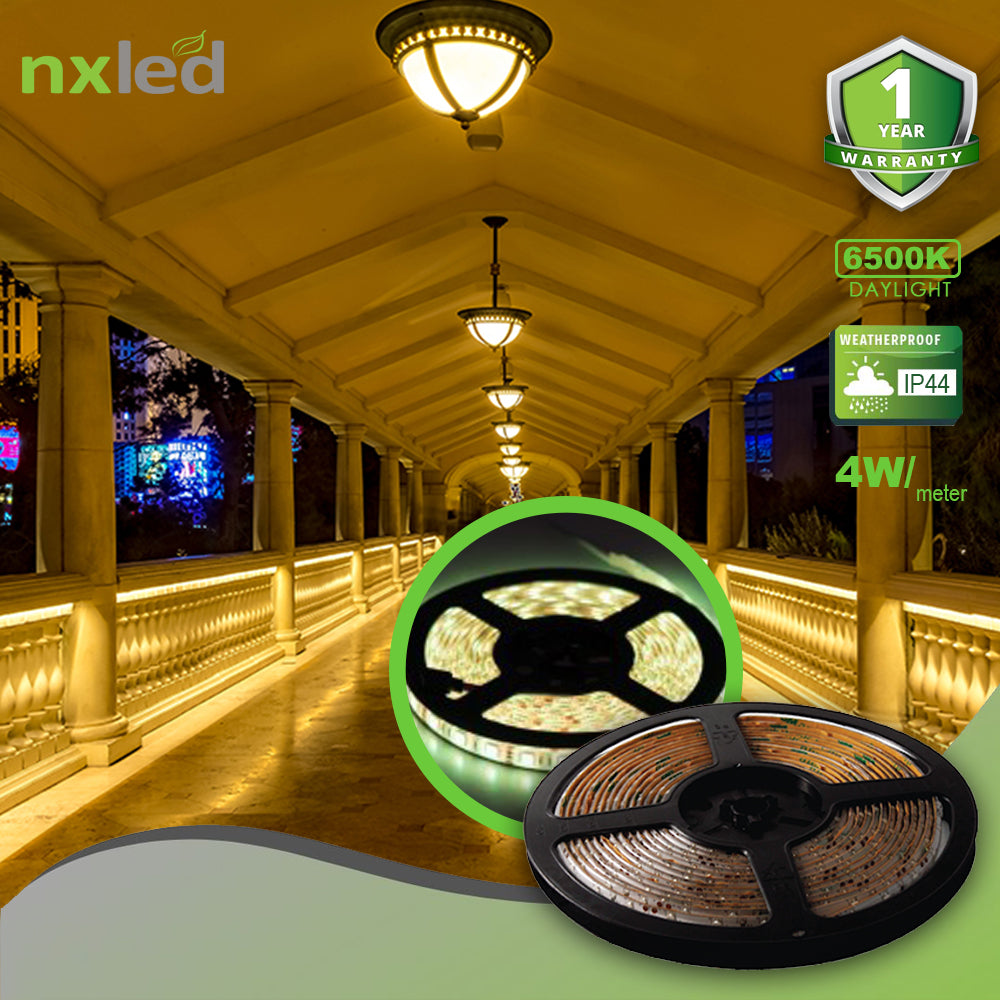 Nxled Strip Light (12V) Economical (ANX-35L44D)