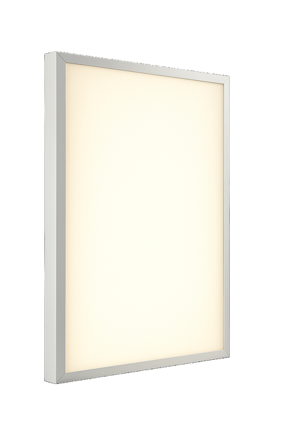 NxLed Clever Panel Light (ANX-CLPL48S)