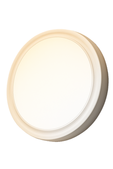 NxLed Clever Bulkhead (ANX-CLWL2)