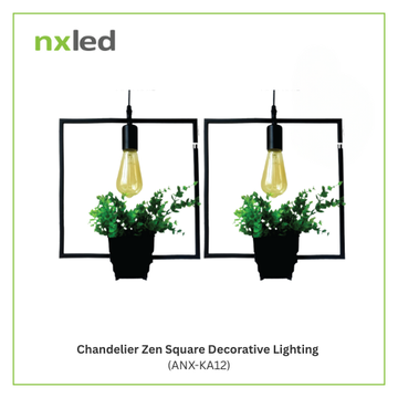 Products – NxLed