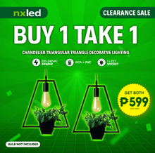 B1T1 NxLed Chandelier Zen Frame Decorative Lighting (ANX-KA14)