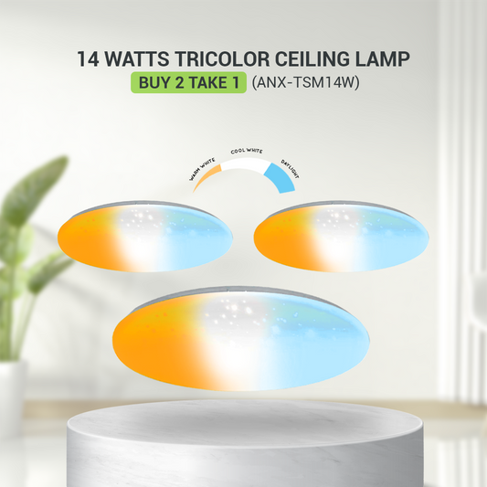 BUY 2 TAKE 1 Nxled 14W Tri-Color Decorative Ceiling Lamp (ANX-TSM14W)