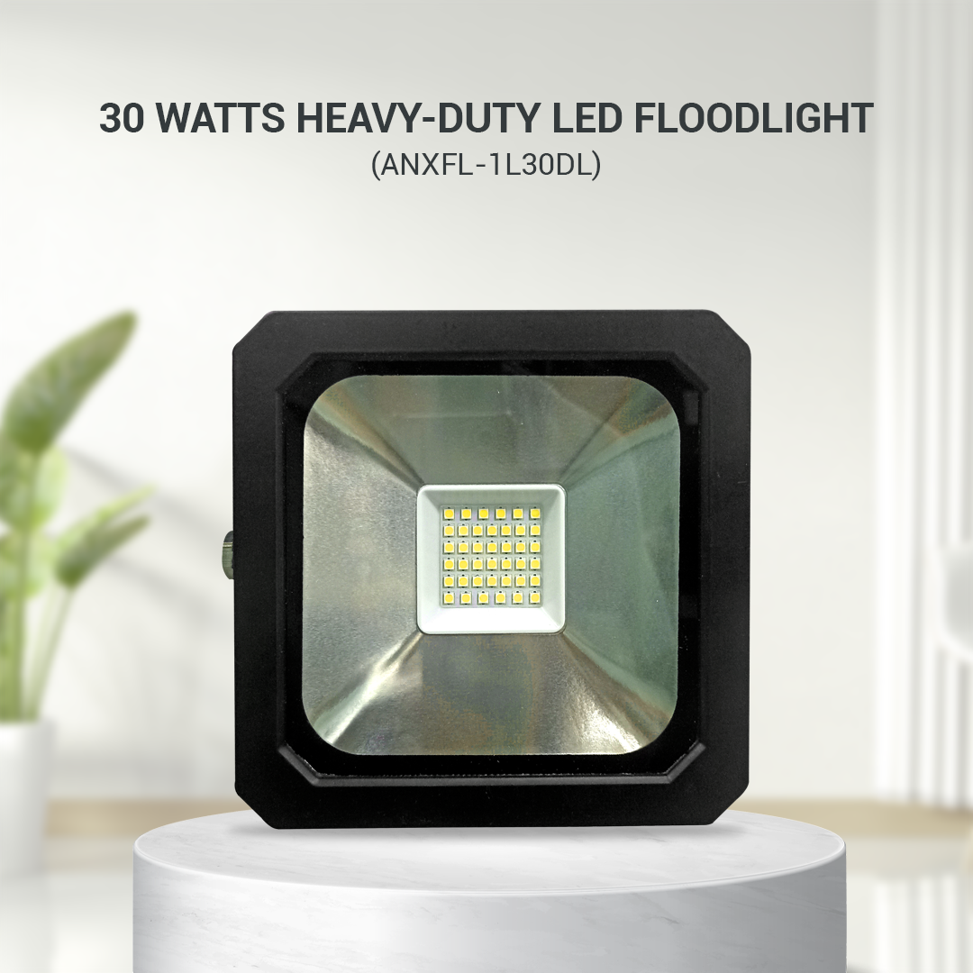 NXLED 30W Floodlight (ANXFL-1L30DL)