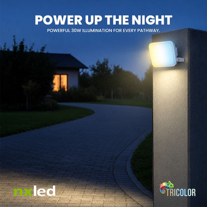 Nxled Tricolor floodlight 30W/50W/100W Alphine Series (ANXFL-ALX)