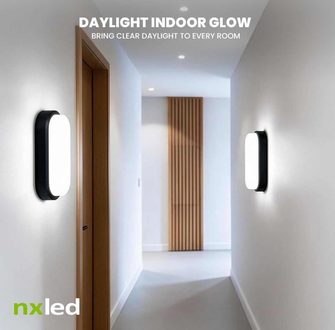 Nxled Twin wall pack (ANX-TPDL/ANX-TPWW)